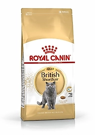 Royal Canin British Shorthair Kedi Maması 10 KG