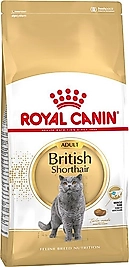 Royal Canin British Shorthair Için Kuru Kedi Maması KG