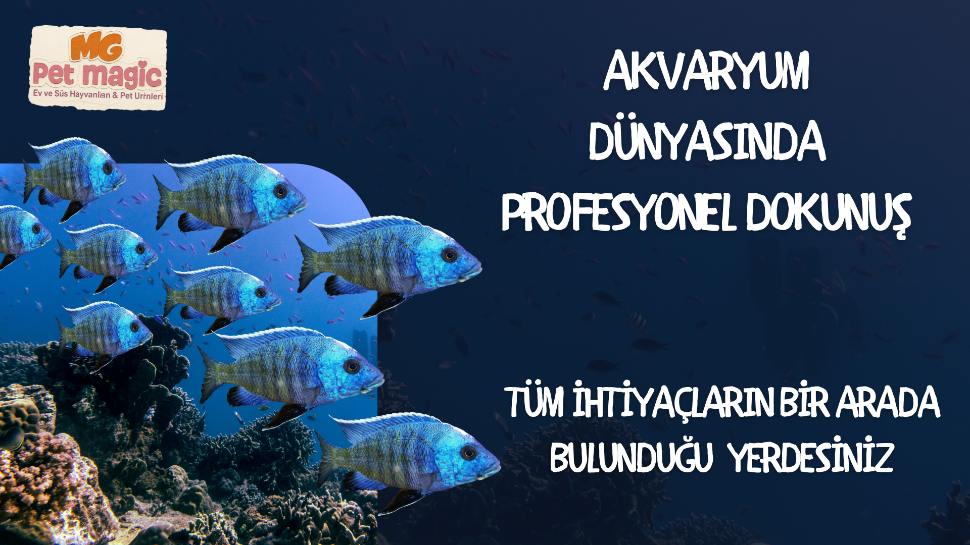 Anasayfa Slider